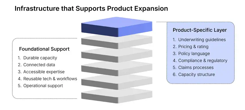 Foundational support infrastructure supporting the product-specific elements needed for expansion.
